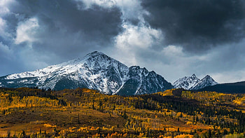Golden leaves and moody skies in Colorado, usa, fall, colors, landscape, clouds, trees, sky HD wallpaper