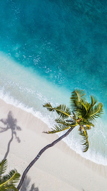 Caribbean Sea, The Bahamas HD phone wallpaper