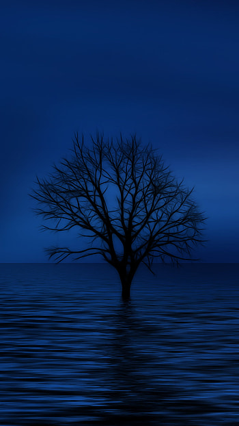 2MB HD phone wallpaper