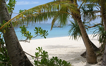 Nature, Sand, Palms, Shore, Bank, Branches, Ship, Bay HD wallpaper