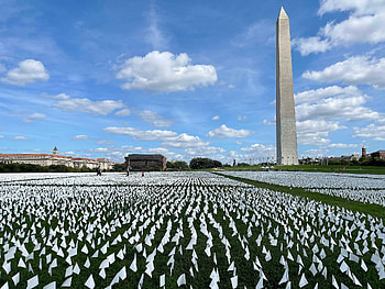 Washington Monument, Covid Gedenken, USA ein weies Meer HD wallpaper