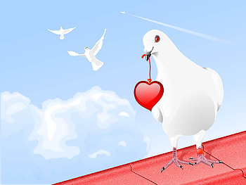 Birds, Sky, Hearts, Pigeons HD wallpaper