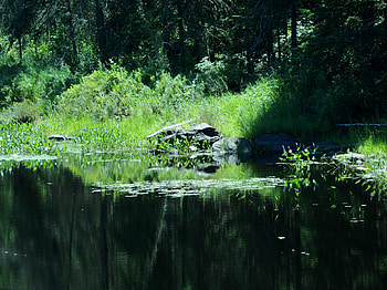 Black River In The Summer, graphy, Summer, Rocks, Grass, Nature, Sunshine, River HD wallpaper