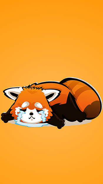 Red Panda, red panda, Animal, panda HD phone wallpaper