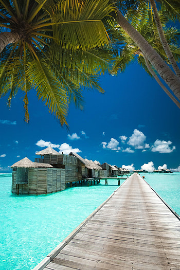 Nature, Sky, Clouds, Pier, Palm, Bungalow HD phone wallpaper