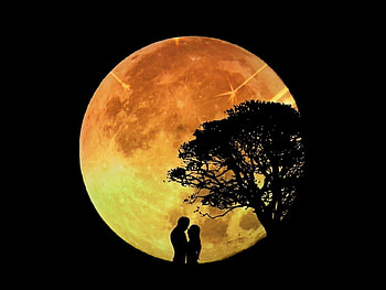 Lovers, moon, dark, silhouette HD wallpaper
