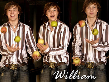 William Moseley , peter pevencie, series, king, movie, narnia HD wallpaper