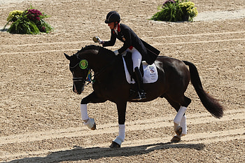Charlotte Dujardin, Dressage HD wallpaper