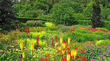 Devon Flower Park, UK, red, blossoms, yellow, colors, trees, spring HD wallpaper