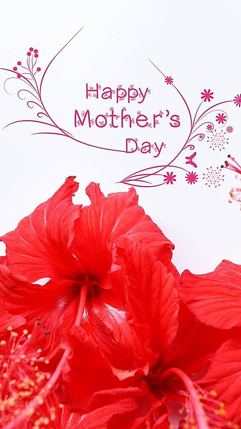 Mothers Day, Red Flowers HD phone wallpaper