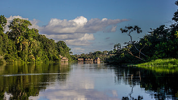 Amazon Rain Forest, IntoTheShift HD wallpaper