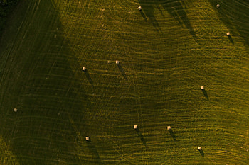 Nature, Grass, View From Above, Field HD wallpaper