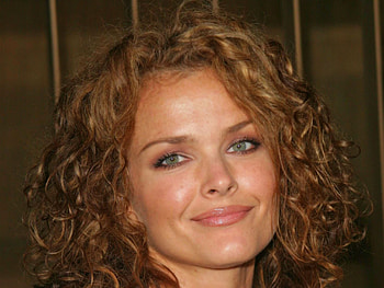 Dina Meyer movies, Dina Meyer , Dina Meyer celebrities, Dina Meyer female HD wallpaper