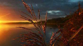 Autumn Sunset, clouds, sky, grass, lake, colors HD wallpaper