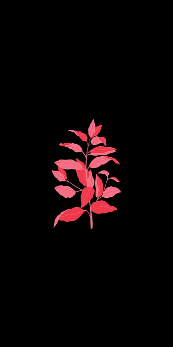 Pixel 6 2, Google, Sangrur, apple, magenta, art, anime, Android, latest HD phone wallpaper