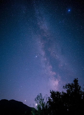 Night, Dark, Silhouette, Starry Sky, Branches HD phone wallpaper