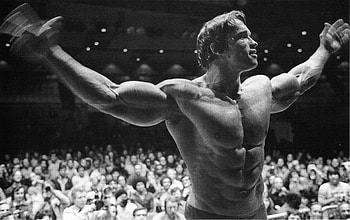 Mr. Olympia, Arnold Schwarzenegger HD wallpaper