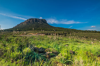 Nature, Grass, Sky, Summer, Elevation HD wallpaper