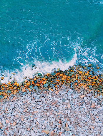 Jadi13, liquid, organism HD phone wallpaper