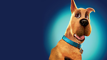 Scooby Doo, Scooby Doo 2: Monsters Unleashed, Movie HD wallpaper