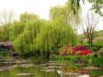 Landscape, lakes, nature HD wallpaper