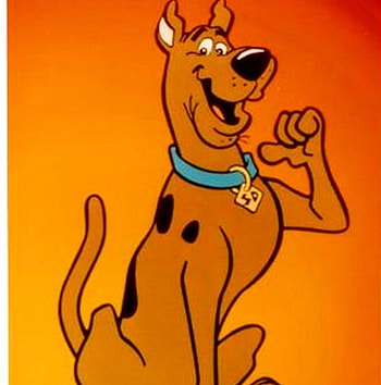 scooby doo right here!!, pointing, scooby doo HD phone wallpaper