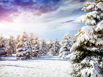 Winter Scenery, Winter, Nature, Snow, Trees HD wallpaper