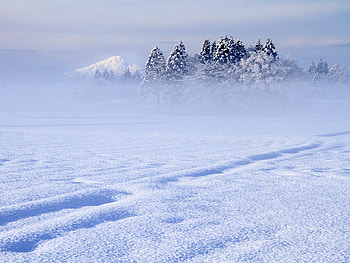 Winter Whiteout, white, season, asia, snow, cold, trees, isolation, mountain HD wallpaper