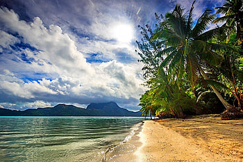 Beautiful and Relaxing, trees, sky, nature, beach HD wallpaper