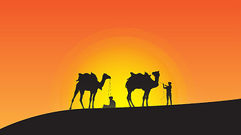 Camel Leaders Silhouette, camel, artist, artwork, digital-art, silhouette HD wallpaper