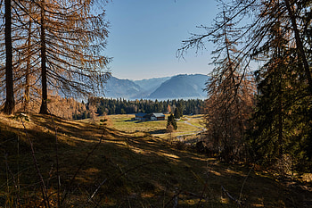 Nature, Mountains, Building, Forest HD wallpaper