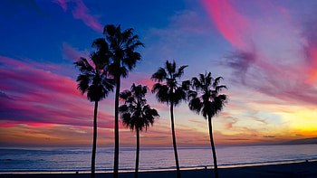 Palm trees, Sunset silhouette HD wallpaper