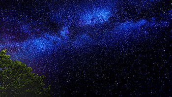 Tree Branches Starry Sky Stars Night HD wallpaper