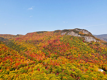Nature, Trees, Autumn, Rocks, Forest HD wallpaper