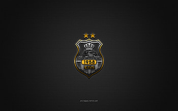 ES Setif, Algerian football club, yellow logo, gray carbon fiber background, Ligue Professionnelle 1, football, Setif, Algeria, ES Setif logo HD wallpaper