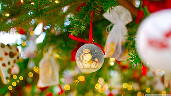 Christmas tree, cea, mai frumoasa, magicul, brad HD wallpaper