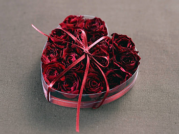 Flowers, Roses, Love, Bow, Heart HD wallpaper