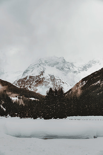 Winter, Nature, Trees, Snow, Mountain, Vertex, Top HD phone wallpaper