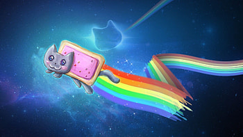 Nyan Cat No Background | Funny Cat & Dog HD wallpaper