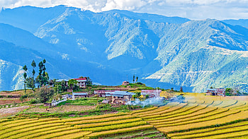 Bhutan, Cultural experiences, Land of happiness, Authentic journeys HD wallpaper