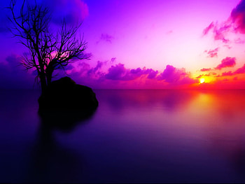 Pastel tones, tones, sunlight, colors, sunrise, trees, water, sun, sunset, pastel, sunshine, golden, sundown, lake, purple, clouds, nature, sky, fire HD wallpaper