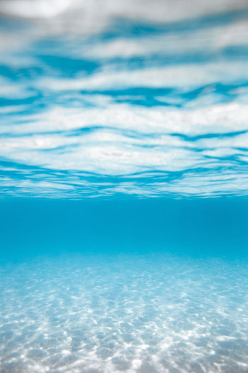 Nature, Water, Transparent, Under Water, Underwater HD phone wallpaper