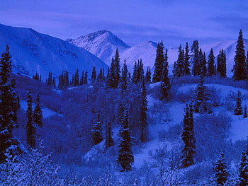 Nature, Trees, Mountains, Night, Slopes HD wallpaper