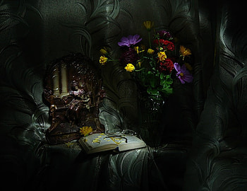 Still Life, graphy, beautiful, dark, daisies, book, pretty, daisy, nature, flowers HD wallpaper