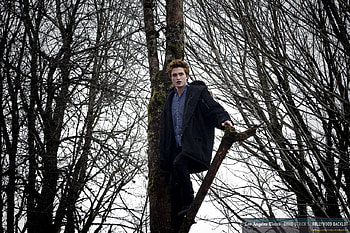 Twilight Edward, twilight saga, edward HD wallpaper