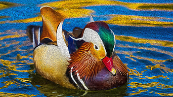 Oil on canvas painting of mandarin duck, Artistic masterpiece, Captivating artwork, Fine details HD wallpaper