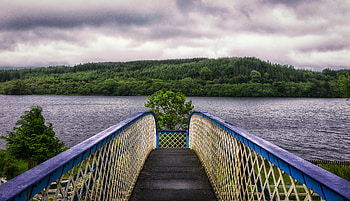 Nature, Rivers, Trees, Sky, Bridge HD wallpaper