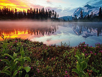 Day& Night, nature, lovely, lake, reflections HD wallpaper