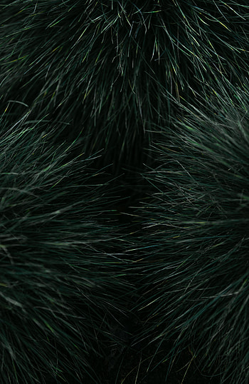 Grass, Plant, Macro HD phone wallpaper