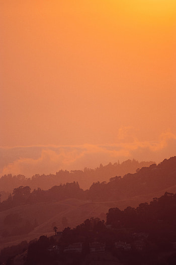 Nature, Trees, Sunset, Sky, Hills HD phone wallpaper